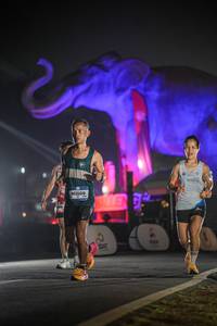 BIB: 
                            <button type="button" onclick="openModal(26531159)" class="btn btn-primary btn-sm float-right btn-popup" data-toggle="modal" data-target=".modal-high-quality">
                        <i class="fas fa-shopping-cart"></i> Add to Cart
                    </button>
                                            <button type="button" onclick="isThisMe(26531159, true)" class="btn btn-success btn-sm float-right btn-popup btn-isme hidden" data-toggle="tooltip" data-placement="bottom" title="นี่คือรูปของคุณใช่ไหม คลิกที่นี่เพื่อเอาเข้าอัลบั้ม">
                        <i class="fas fa-plus"></i> Add to album
                    </button>
                    <button type="button" onclick="isThisMe(26531159, false)" class="btn btn-warning btn-sm float-right btn-popup btn-isnotme hidden">
                        <i class="fas fa-ban"></i> Remove from album
                    </button>